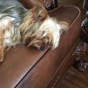 Meet your Posher, Huong